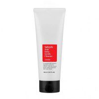 Salicylic Acid Daily Gentle Cleanser - Салициловая пенка для умывания проблемной кожи лица